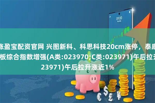 涨盈宝配资官网 兴图新科、科思科技20cm涨停，泰康上证科创板综合指数增强(A类:023970;C类:023971)午后拉升涨近1%