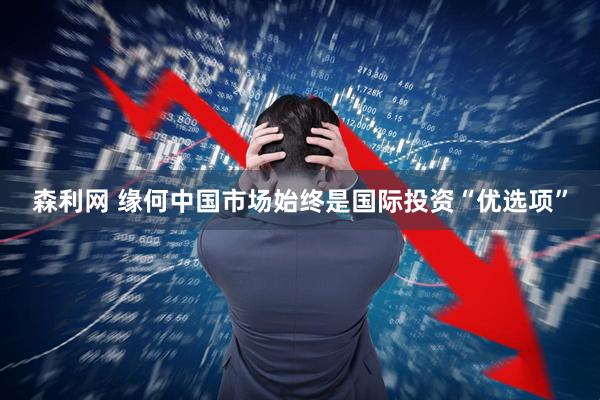 森利网 缘何中国市场始终是国际投资“优选项”